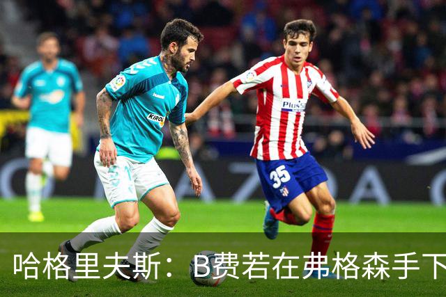哈格里夫斯：B费若在弗格森手下说这话，就没机会再上场了