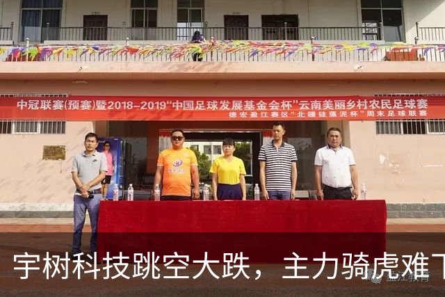 宇树科技跳空大跌，主力骑虎难下，硬着头皮拉，但依然无济于事！