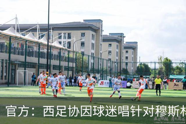官方：西足协因球迷唱针对穆斯林的歧视性口号被罚款2万美元