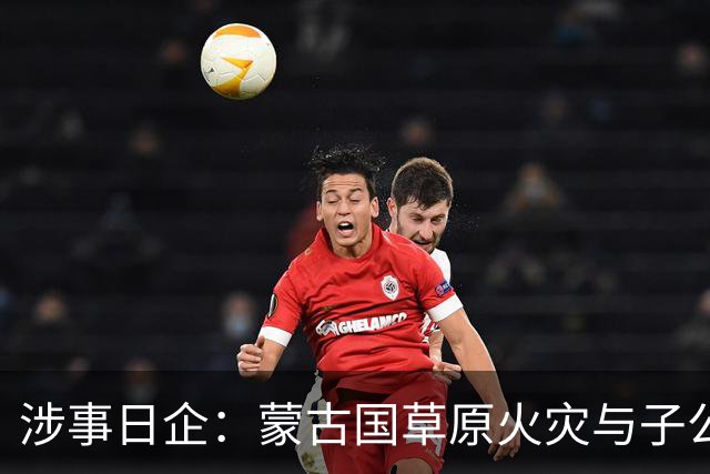涉事日企：蒙古国草原火灾与子公司高管活动有关