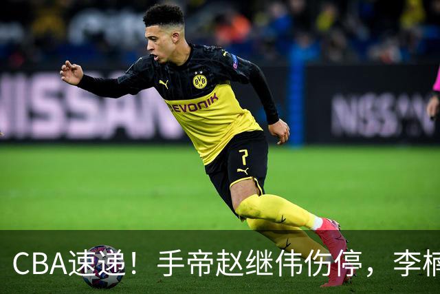 CBA速递！手帝赵继伟伤停，李楠吃一堑长一智，赵柏清日本联赛MVP！